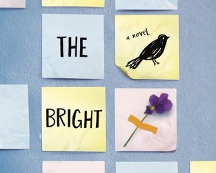 Book Review: All the Bright Places by Jennifer Niven